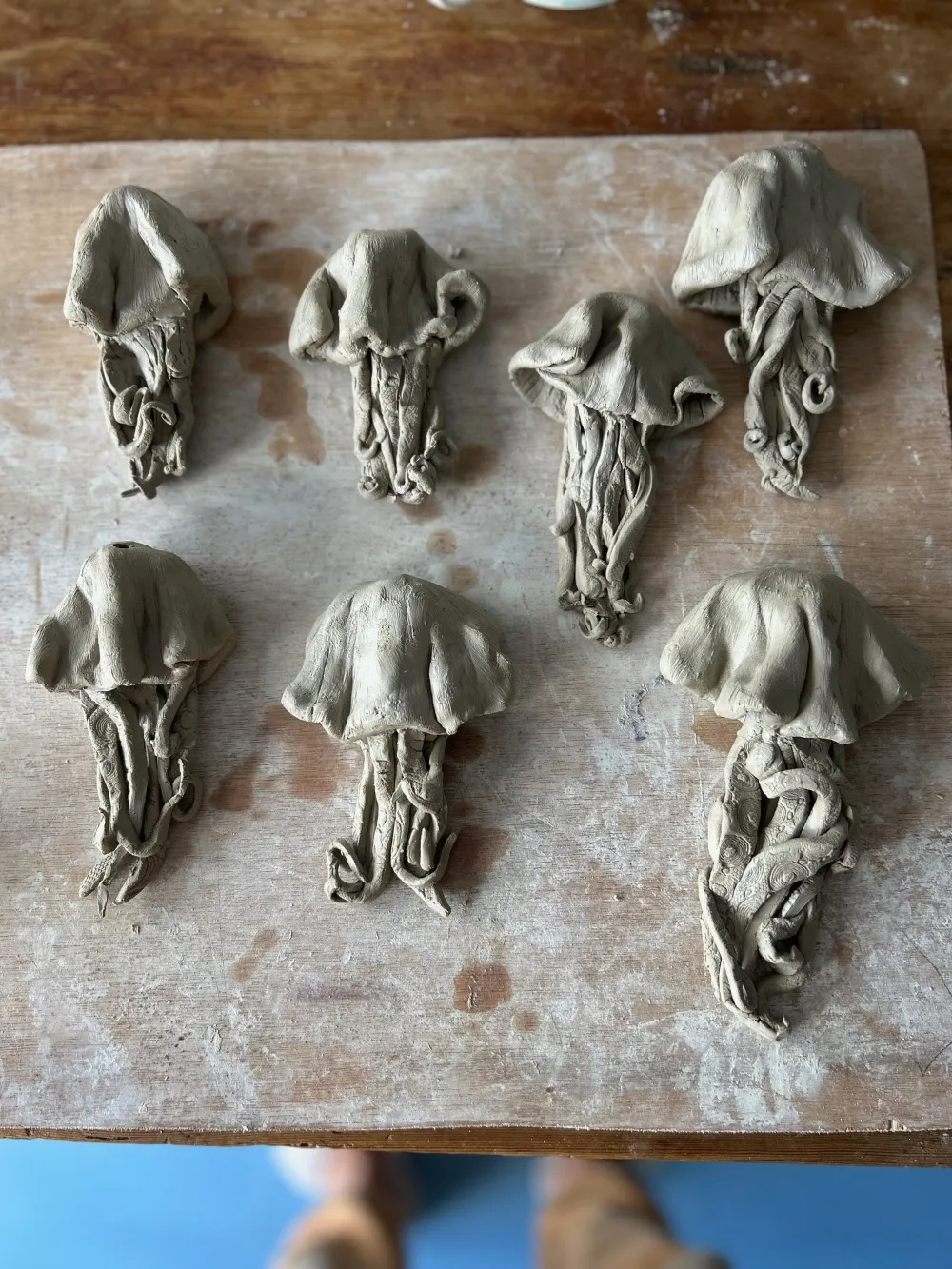 Squid