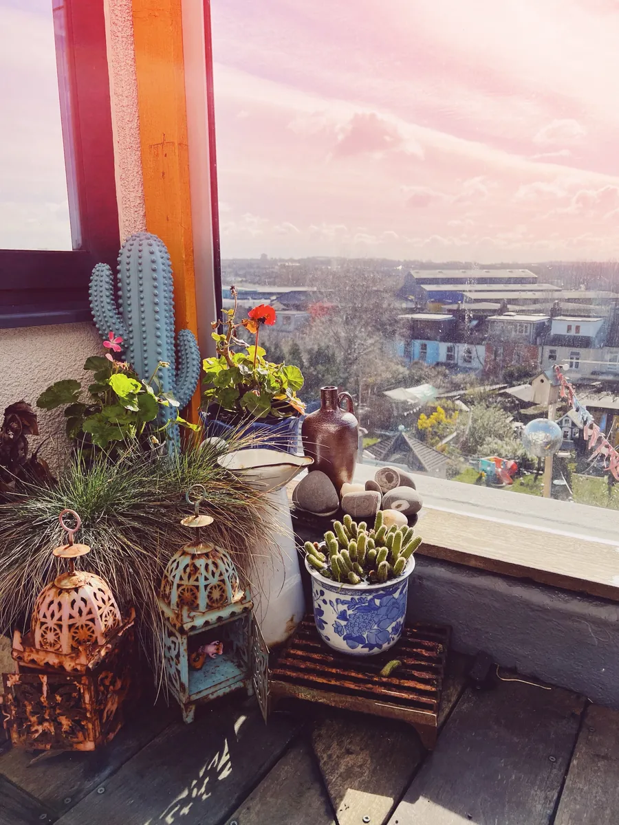 Lanterns, cacti and geraniums on a balcony overlooking Bristol rooftops