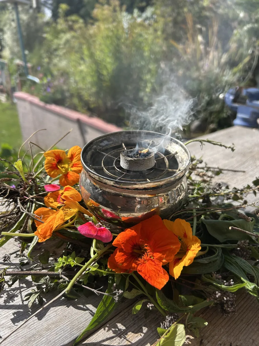 A silver incense burner smoking among nasturtiums and garden cuttings