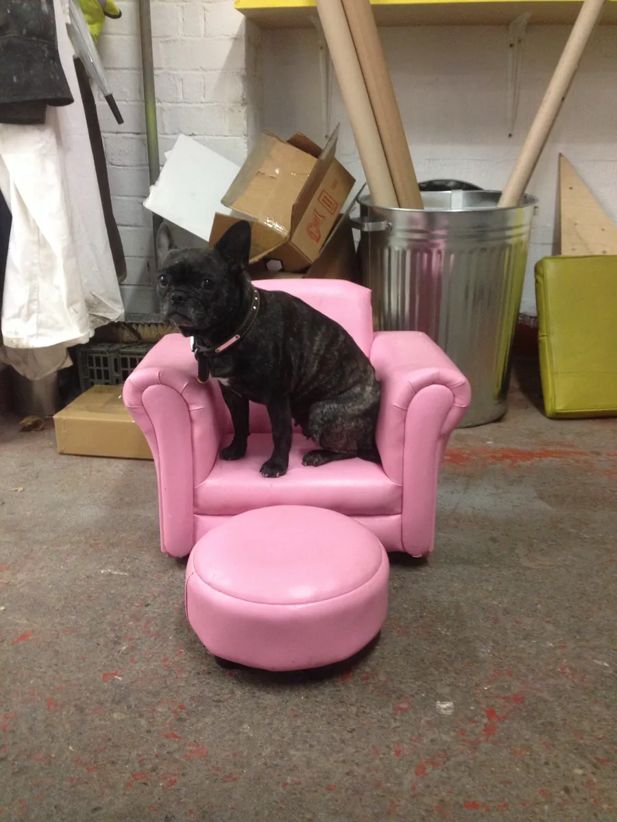 A French bulldog sitting on a little pink armchair and footstool